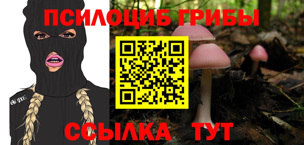 Псилоцибиновые грибы Psilocybe Ульяновск